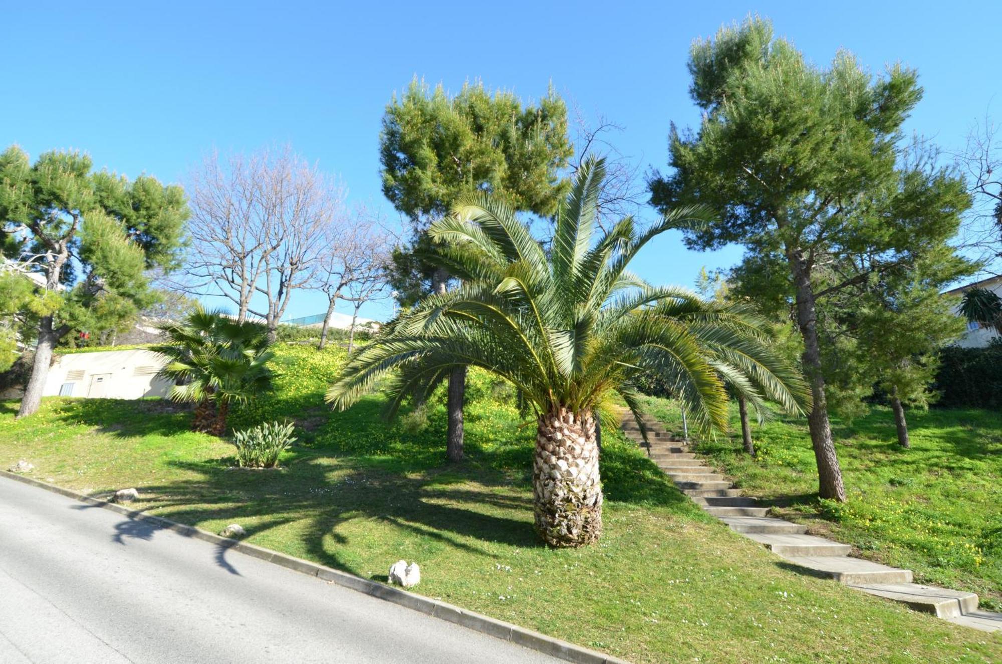 Appartement 5 personnes avec piscine sur la Corniche Fleurie à Nice Extérieur photo